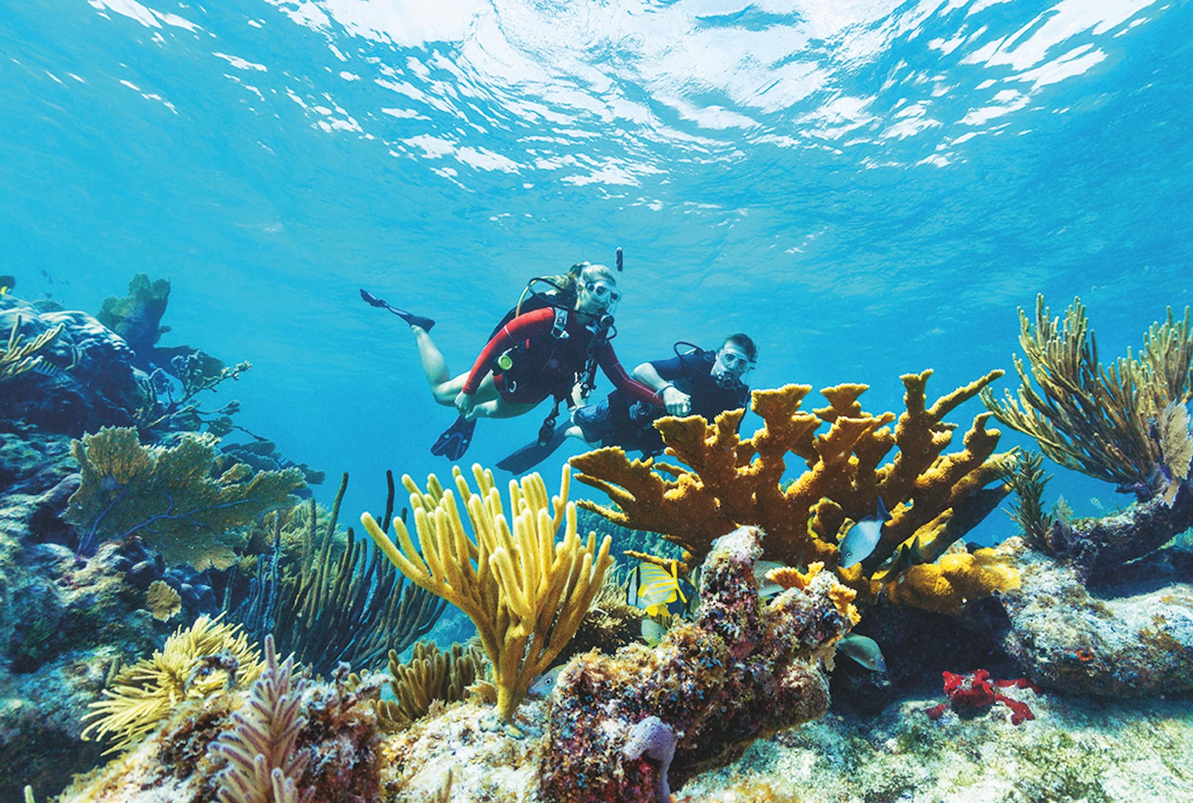 Two people enjoying a scuba diving experience at Little Palm Island Resort