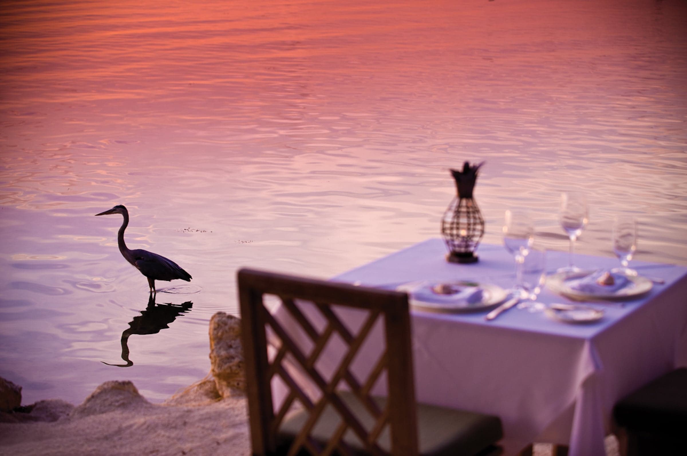 A private dining experience on the beach of Little Palm Island Resort