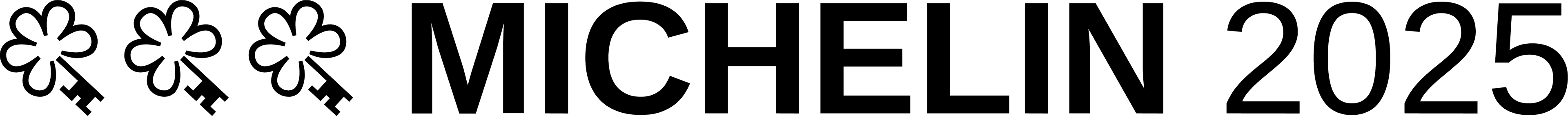 Michelin 2025